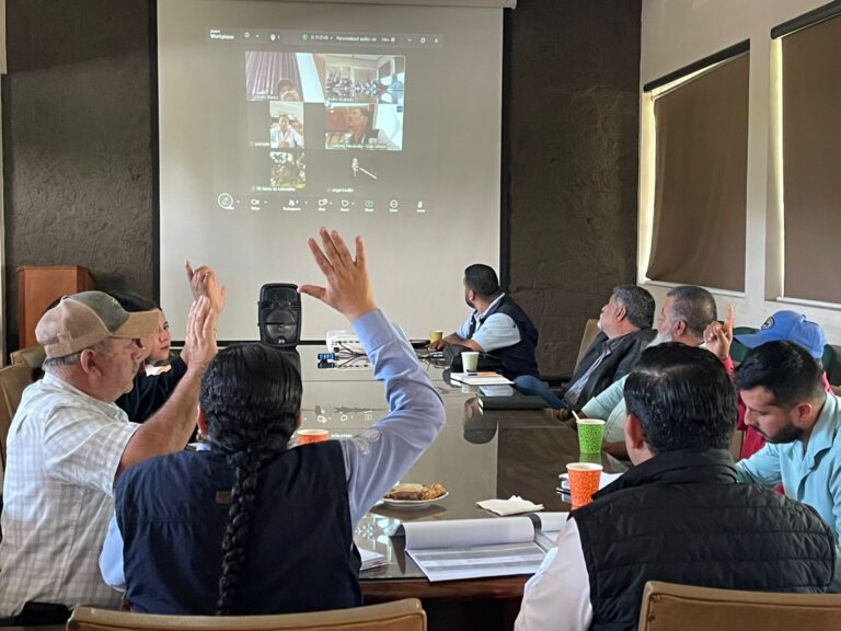 Reunión del Consejo Asesor del APFF “Pico de Tancítaro”