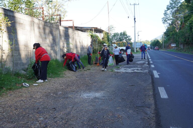 Jornada de Limpieza
